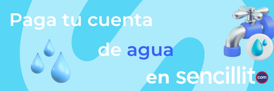 Cómo pagar agua en Sencillito